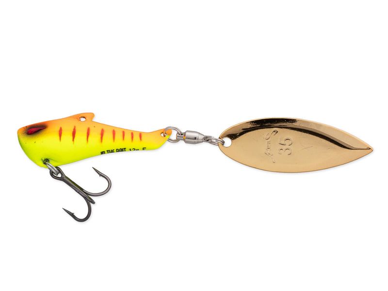 Nories In The Bait Bass