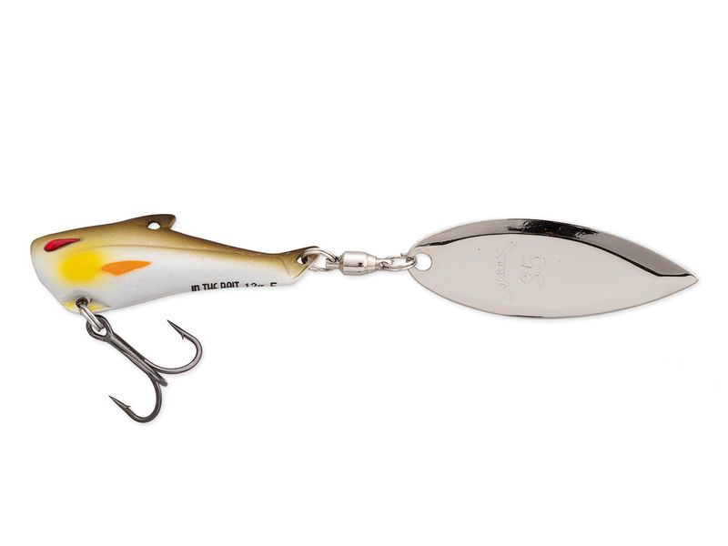 Nories In The Bait Bass