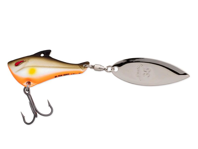 Nories In The Bait Bass