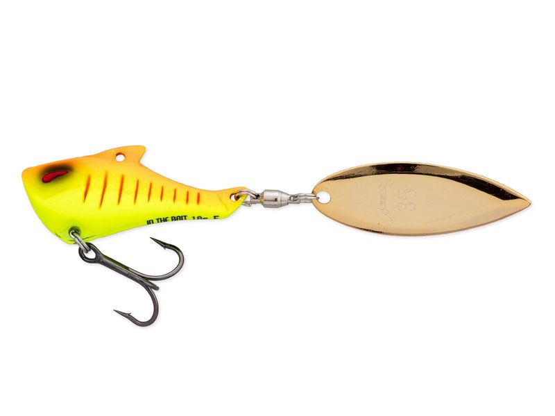 Nories In The Bait Bass
