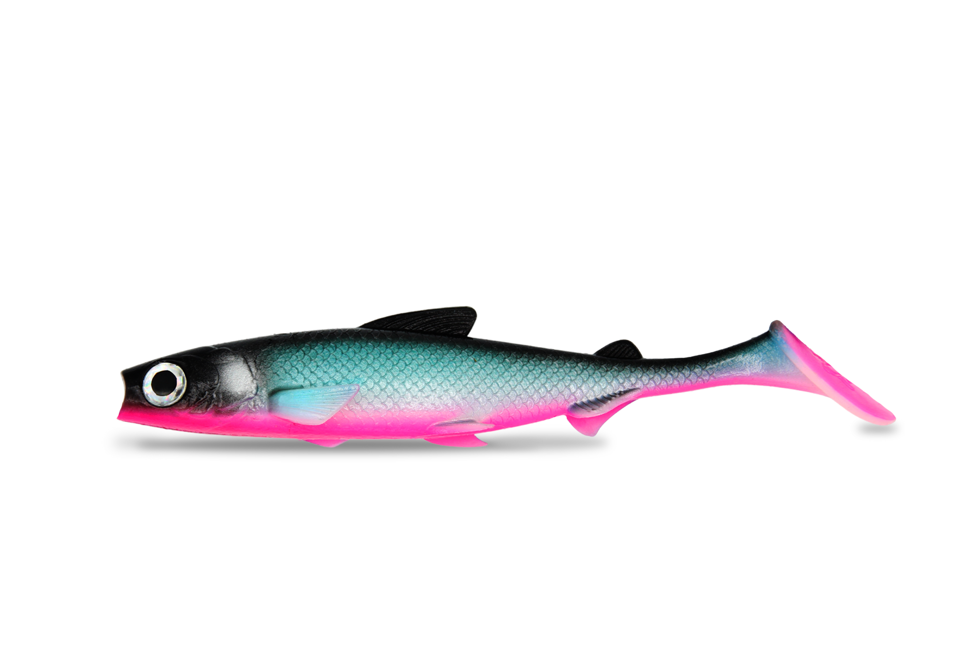 FishingGhost RenkyShad 22cm