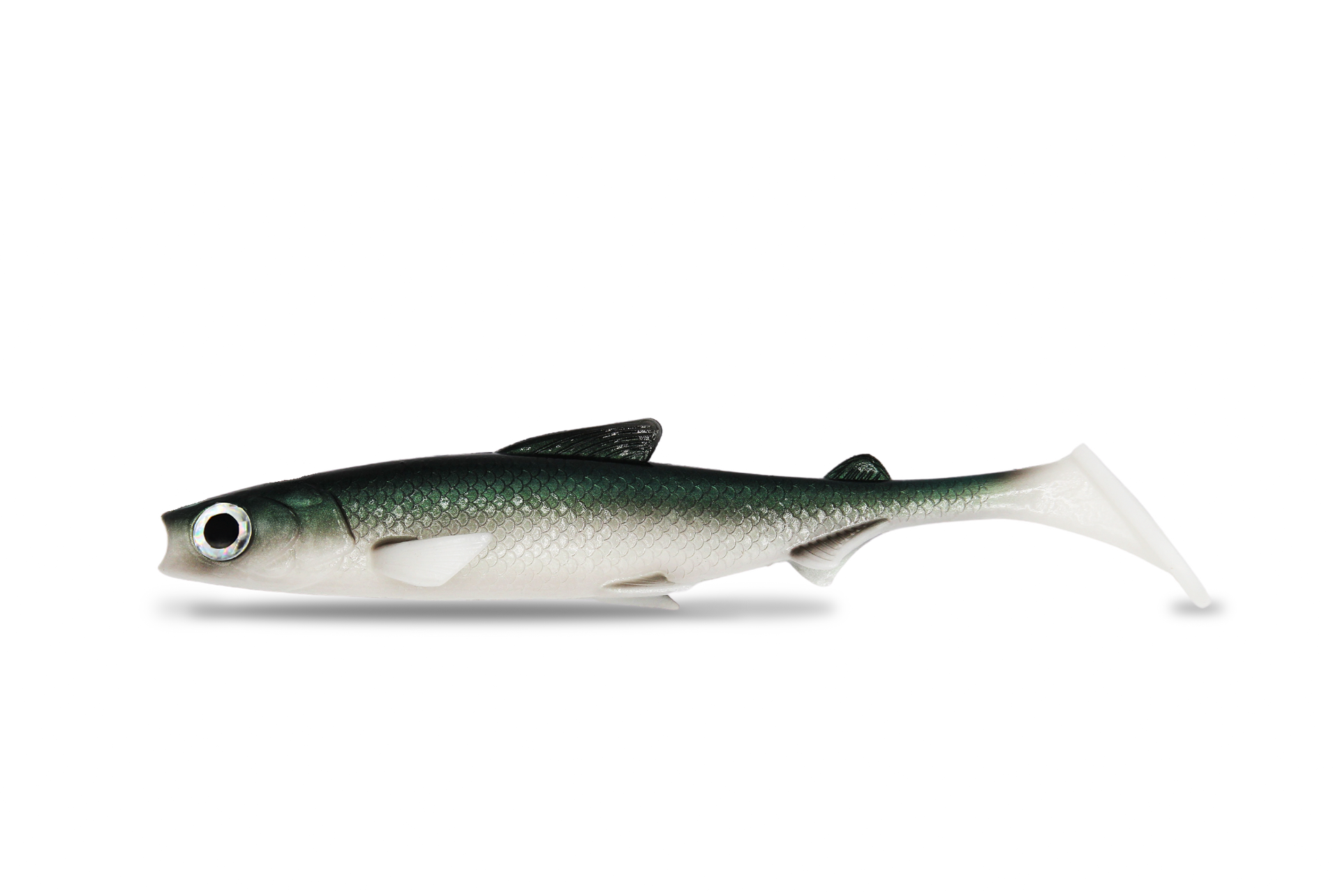 FishingGhost RenkyShad 22cm
