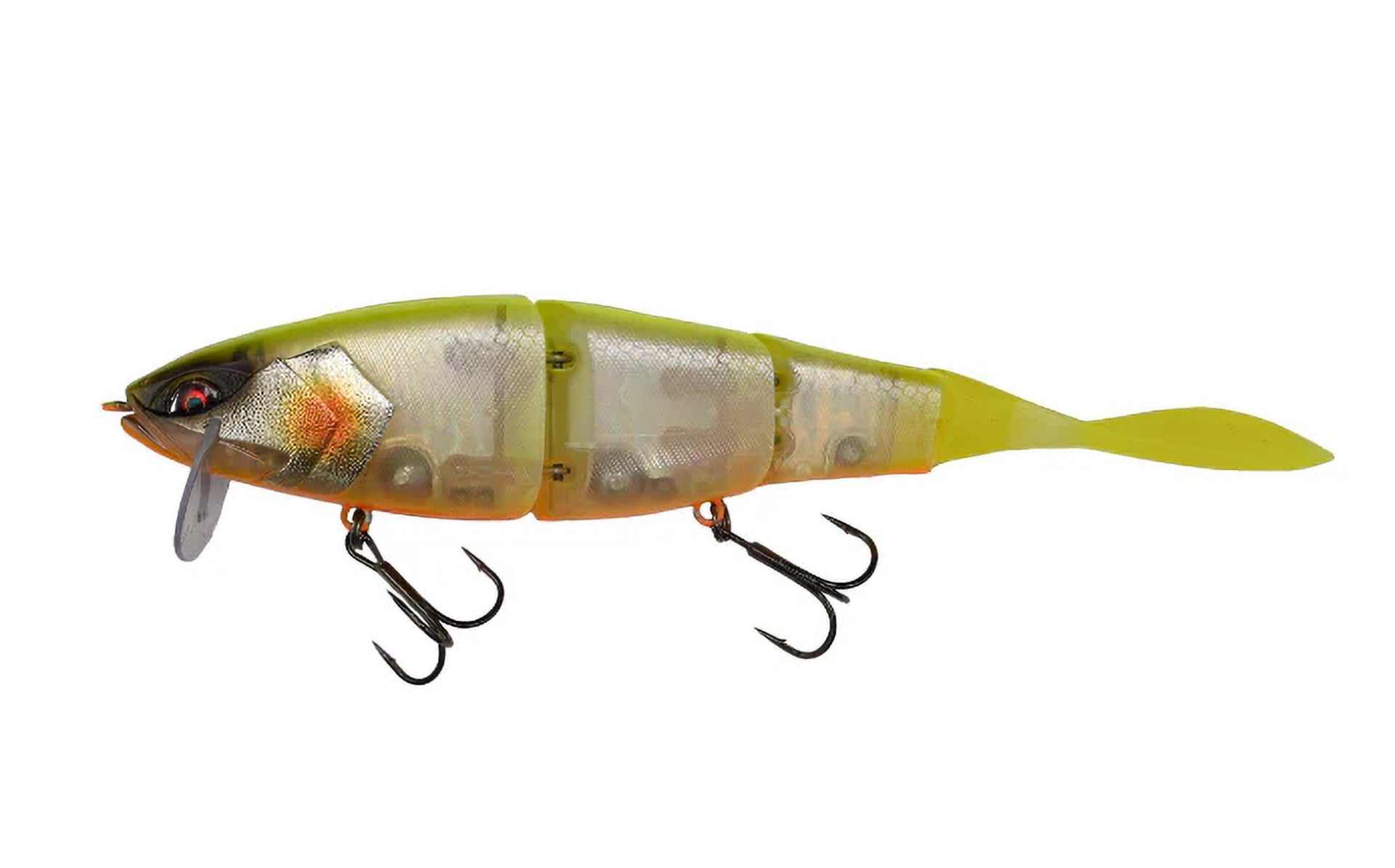 Galapagos Grace 210L