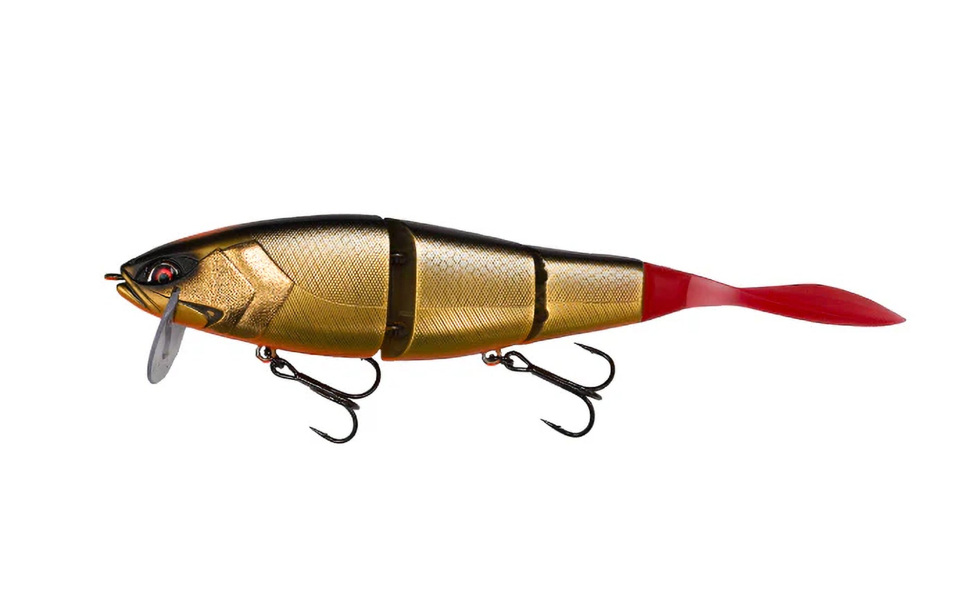 Galapagos Grace 210L