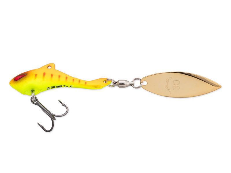 Nories In The Bait Bass