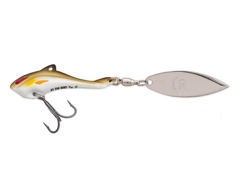 Nories In The Bait Bass