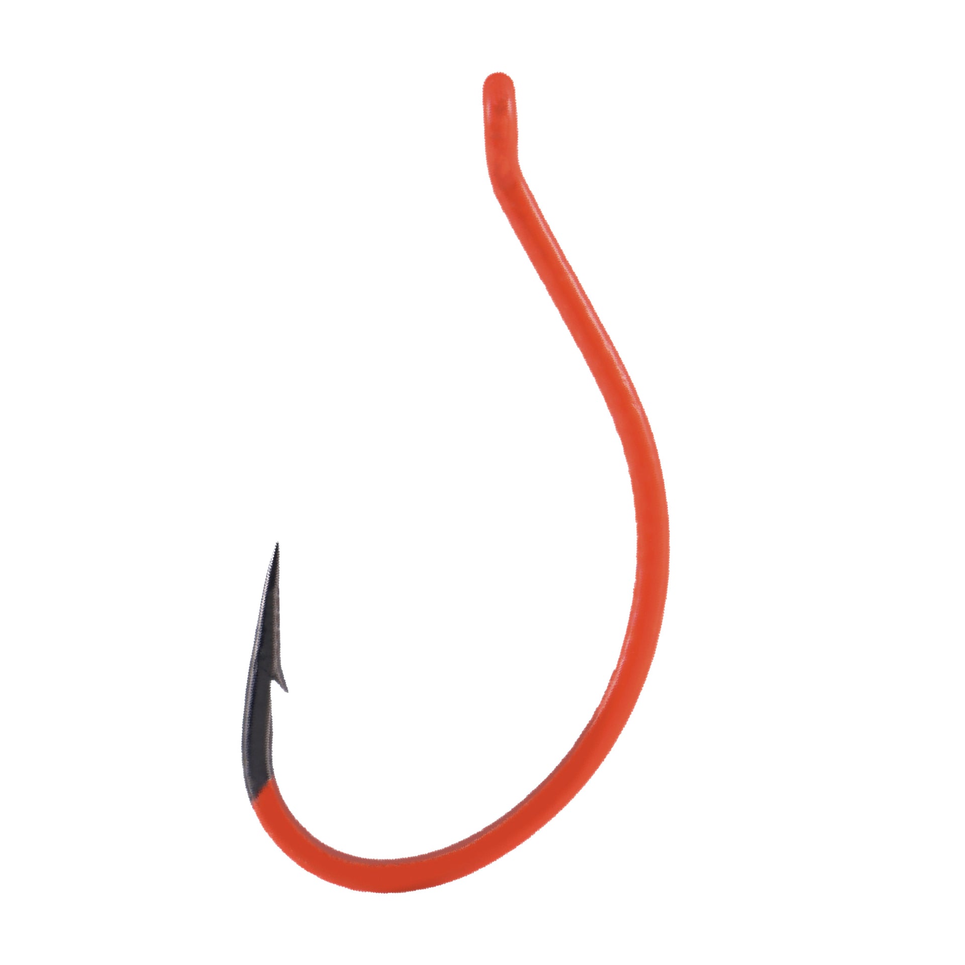 BKK DSS-Worm