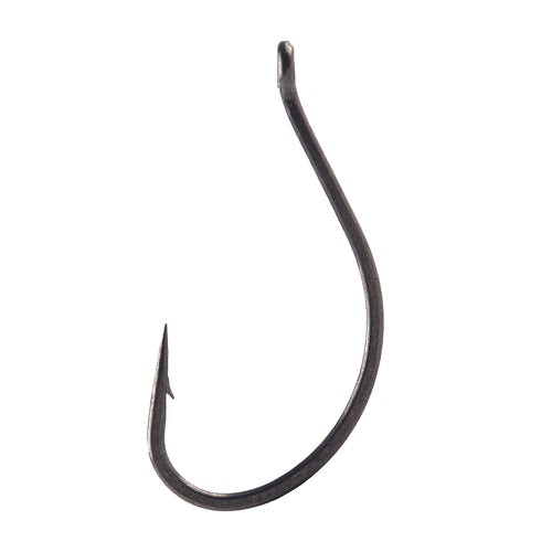 BKK DSS-Worm