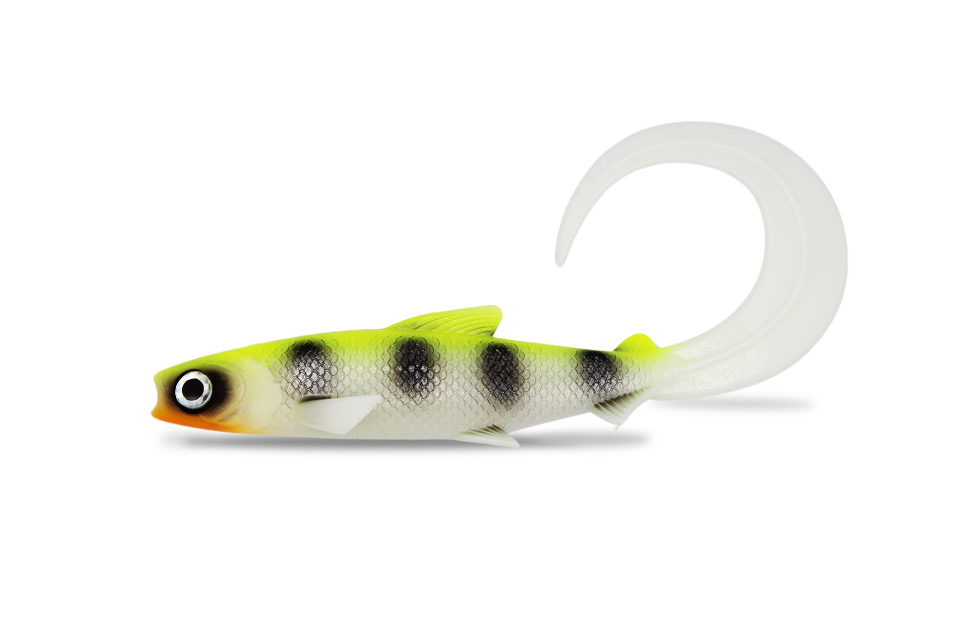 FishingGhost RenkyShad 22cm CRL
