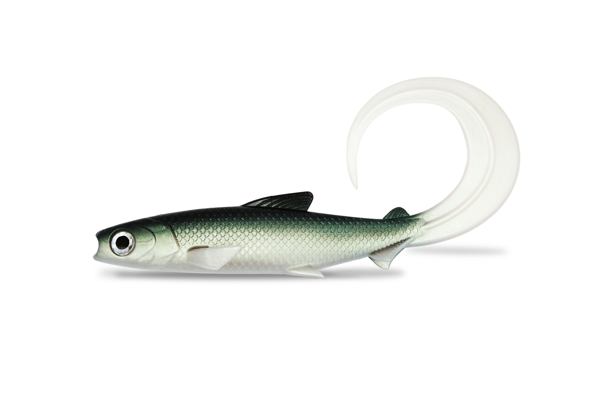 FishingGhost RenkyShad 22cm CRL