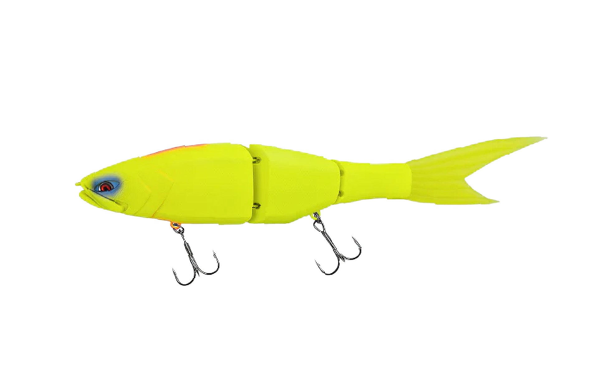 Galapagos Grace 240F