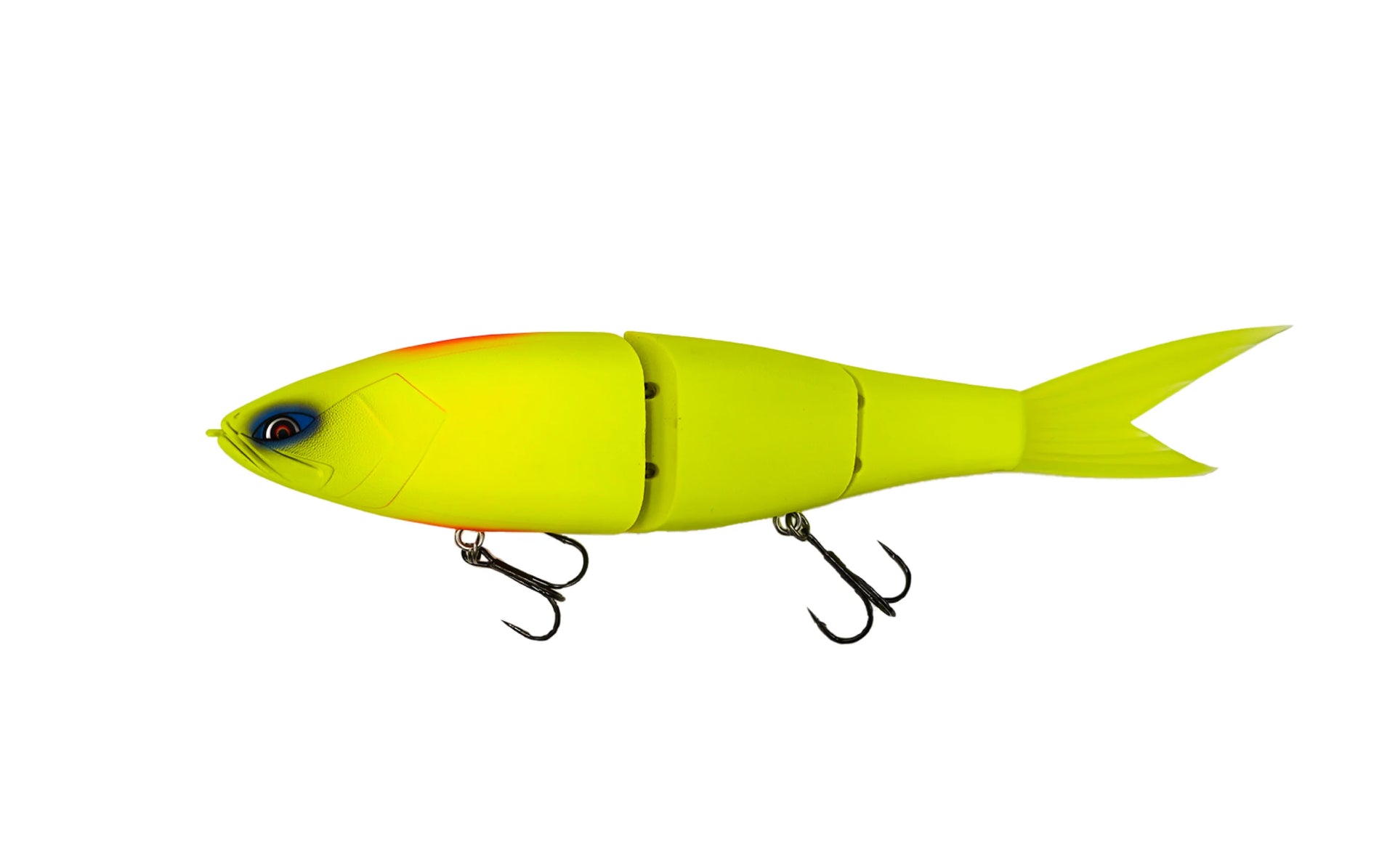 Galapagos Grace 280F