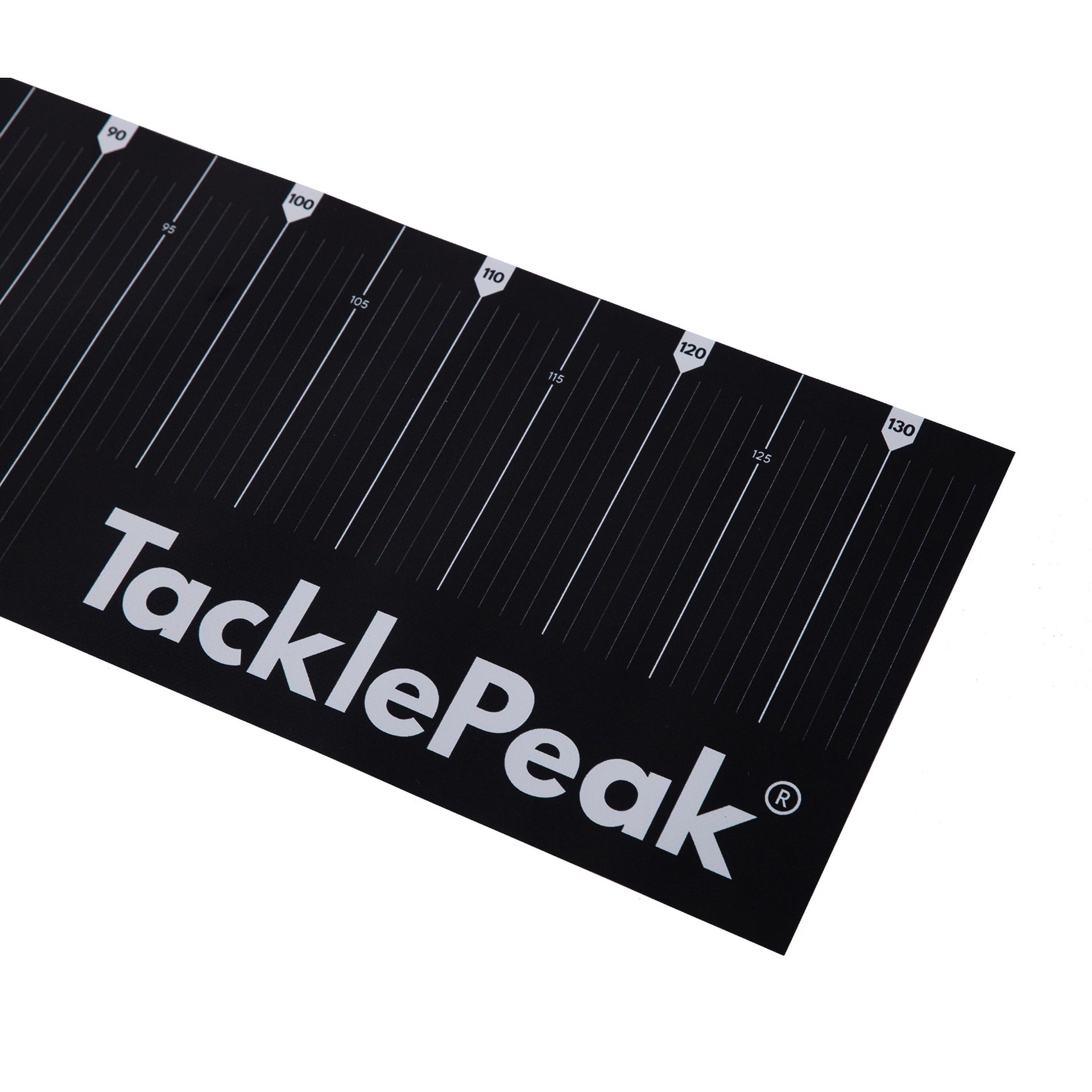TacklePeak MK1 Scale