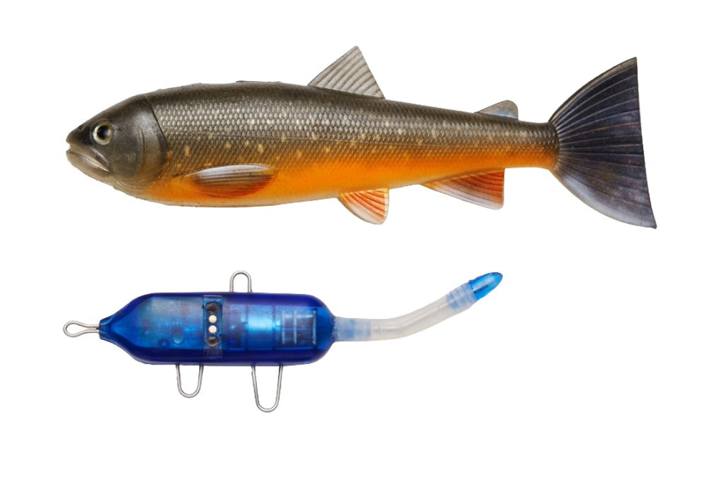 Pulz Bait Starter Kit