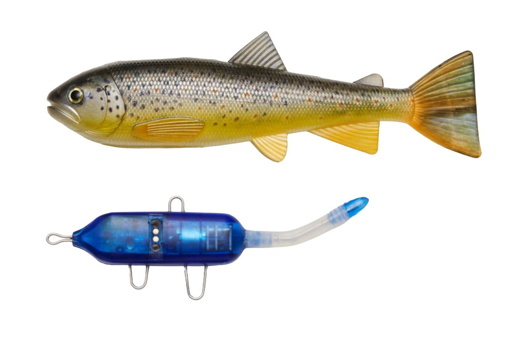 Pulz Bait Starter Kit