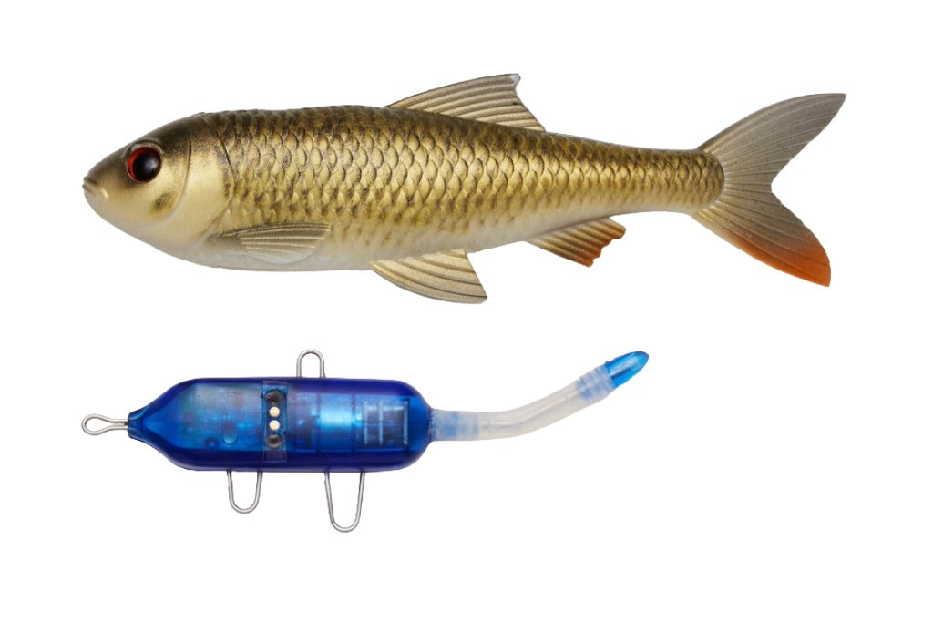 Pulz Bait Starter Kit