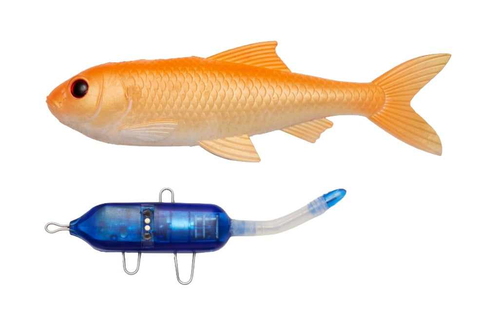Pulz Bait Starter Kit
