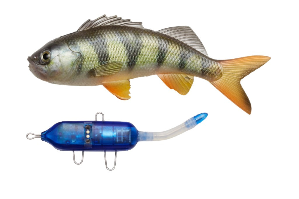 Pulz Bait Starter Kit