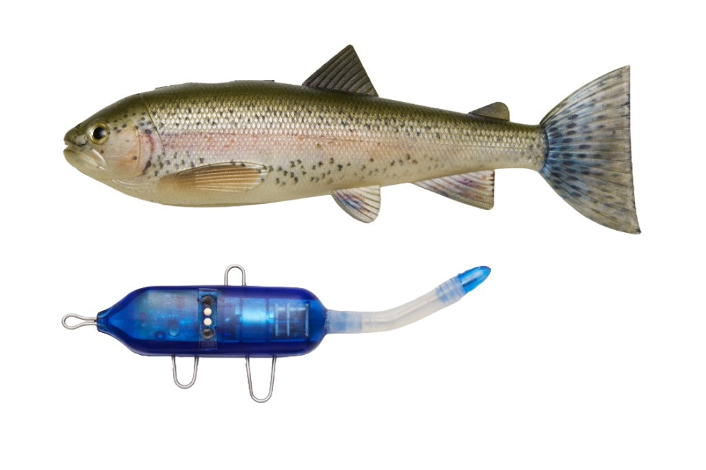 Pulz Bait Starter Kit