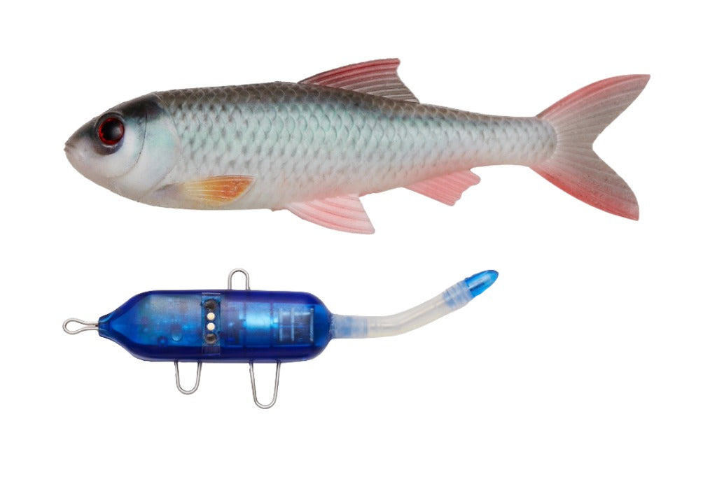Pulz Bait Starter Kit