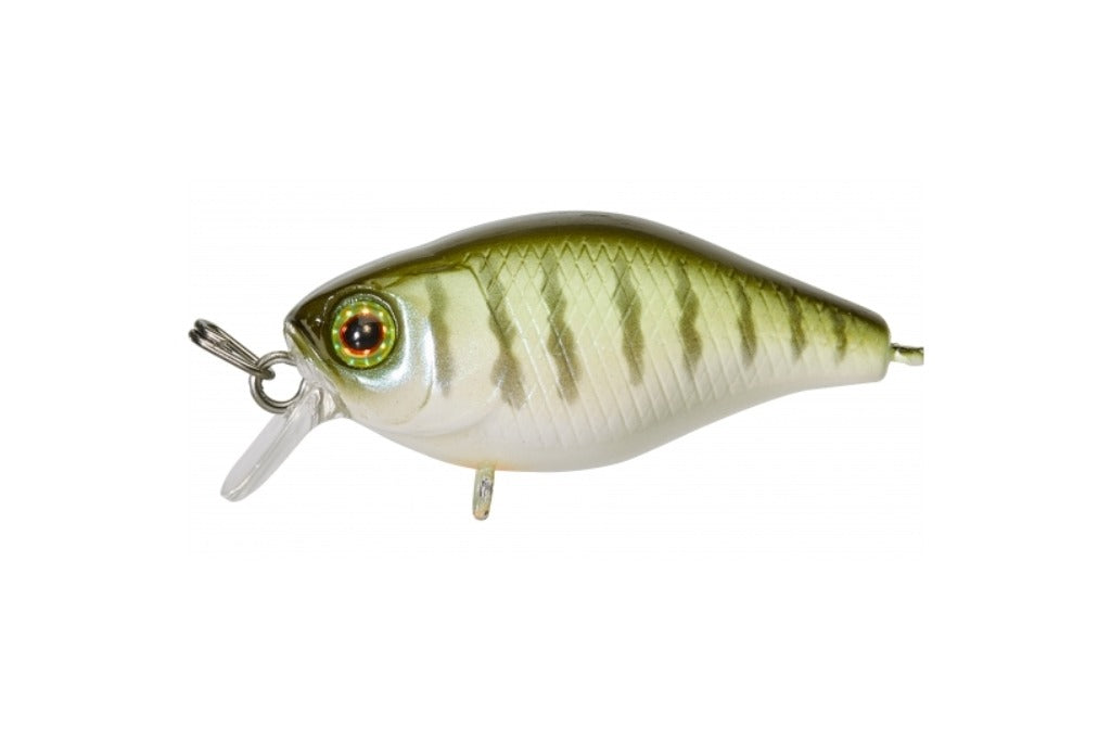 Illex Diving Chubby 38