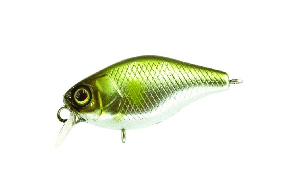 Illex Diving Chubby 38
