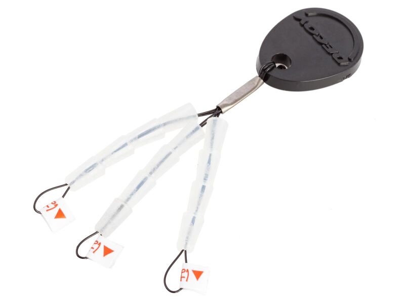 Decoy iGuard