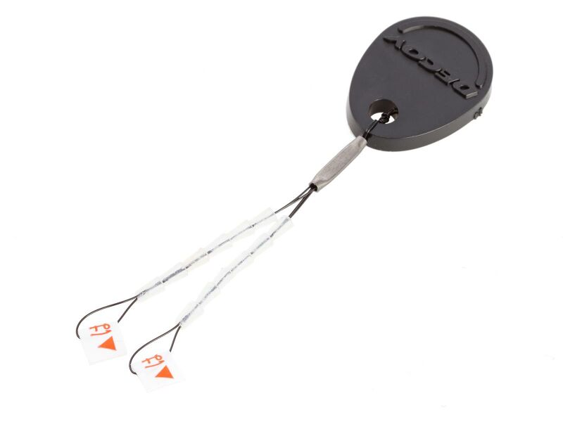 Decoy iGuard